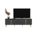 HANAH HOME TV polica Detas Anthracite Gold (475OLV1138)