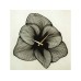 WALLXPERT Zidni sat Azalea Metal Wall Clock APS039 70 Black