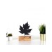 WALLXPERT Dekoracija Maple Black