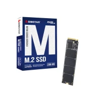 BIOSTAR M760 256GB 2800MBs/1700MBs SSD M.2 NVME BIOSTAR M760 256GB 2800MBs/1700MBs SSD M.2 NVME